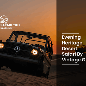 Book Evening Heritage Desert Safari By Vintage G class desert