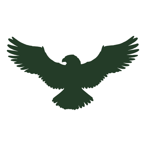 Falconry Session