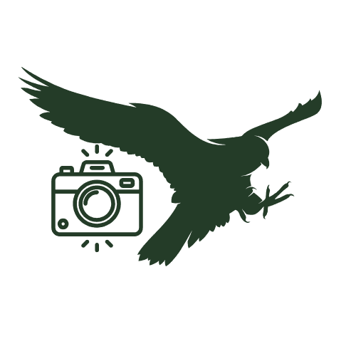 Get Pictures with Falcons