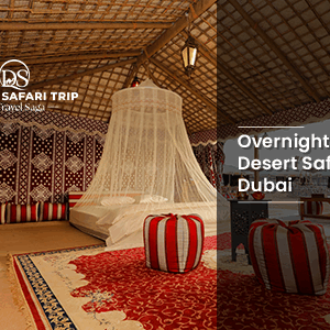 Book Overnight Desert Safari Dubai desert camp night