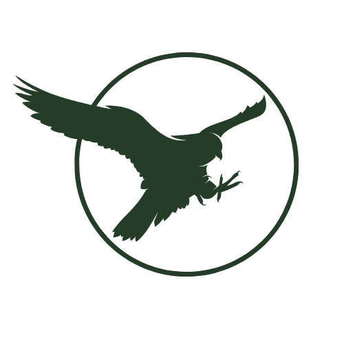 Training of Falcons