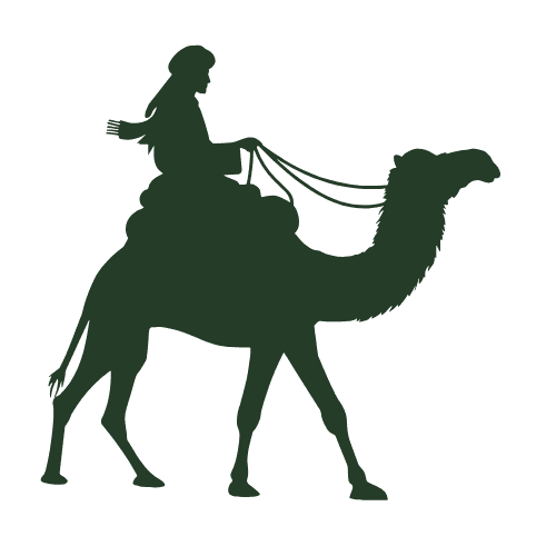 camel riding