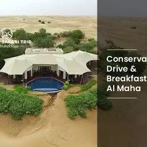 Book Conservation Drive & Breakfast at Al Maha luxury safari