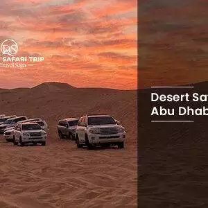 Book Desert Safari Abu Dhabi dune bashing experience