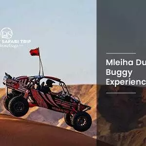 Book Mleiha Dune Buggy Experience desert adventure ride