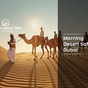 Book Morning Desert Safari Dubai with Dune Bashing ride