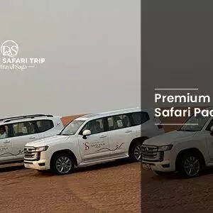 Book Premium Desert Safari Package luxury desert camp