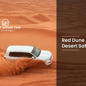 Book Red Dune Desert Safari with BBQ Dinner desert camp