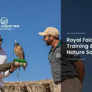 Book Royal Falconry Training & Nature Safari falcon experience