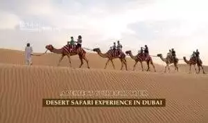 Desert Safari in Dubai | Desert safari Dubai Tours Blog Banner by Dubai Desert Safari Trip