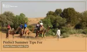 Desert Safari Dubai | Dubai summer travel tips Blog Banner by Dubai Desert Safari Trips