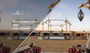 desert safari Dubai | VIP desert safari Dubai blog banner by Dubai desert safari trip