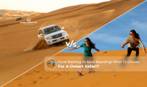 Dune bashing vs sandboarding Blog Banner by dubaidesertsafaritrip.com