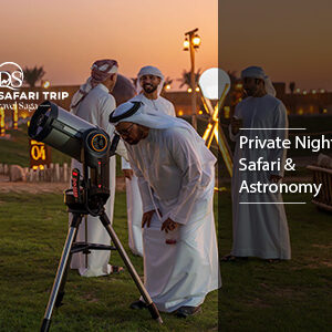 private night safari and astronomy BT Thumbnail by dubaidesertsafaritrip.com