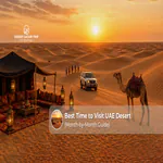 Visitors enjoying a UAE desert safari during sunset with golden sand dunes and camels