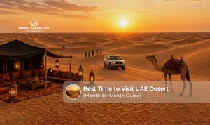 Visitors enjoying a UAE desert safari during sunset with golden sand dunes and camels