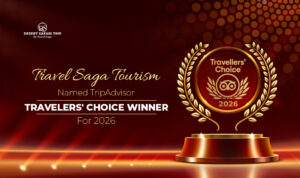 TripAdvisor Award winning travel experiences