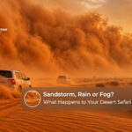 Dubai desert safari during changing weather conditions including sandstorms, rain and fog